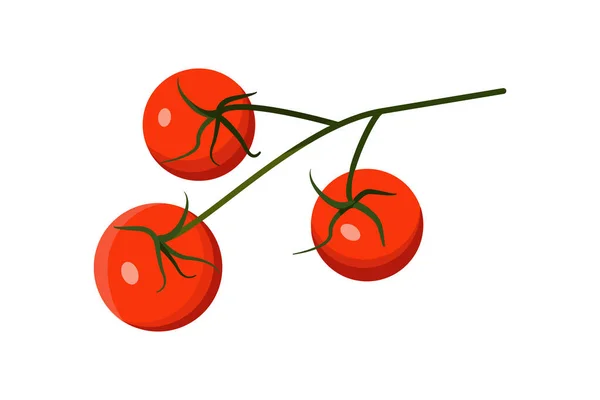 Реалістичні свіжі стиглі червоні вишневі помідори на зеленій гілці. Векторна плоска кольорова ілюстрація ізольована на білому тлі . — стоковий вектор