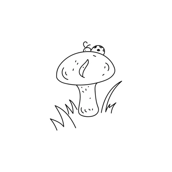 Champiñones en la hierba. Ilustración vectorial en un estilo dibujado a mano aislado sobre un fondo blanco. Una mariquita está sentada sobre un hongo. Esquema negro — Vector de stock