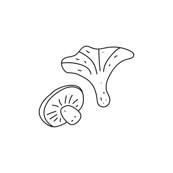 Ensemble de deux champignons. Illustration vectorielle simple dans un style dessiné à la main isolé sur un fond blanc. contour noir — Image vectorielle