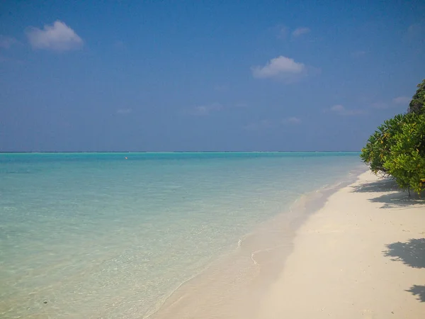 Thoddoo Alif Alif Atoll Maldives February 2017 Beautiful Sandy Beach — Stock Photo, Image