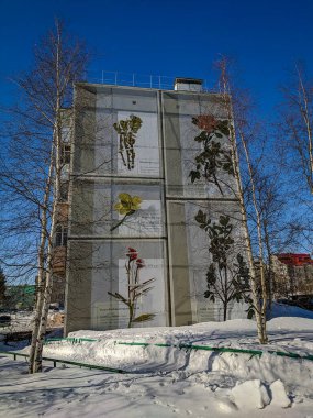 Noyabrsk, Yamalo-Nenets Özerk Okrug. 21 Mart 2020: Ev grafiti ile boyandı. Huş ağacının arka planındaki şehir paneli. - Rusya. Görünüm.
