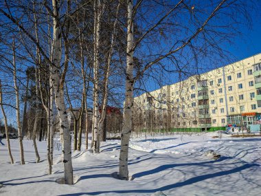 Noyabrsk, Yamalo-Nenets Özerk Okrug. 21 Mart 2020: Huş ağacının arka planındaki şehir paneli. Rusya. Görünüm.
