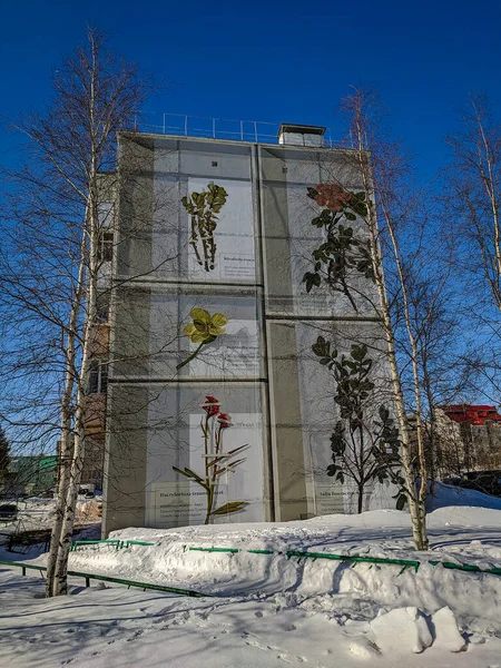 Noyabrsk, Yamalo-Nenets Özerk Okrug. 21 Mart 2020: Ev grafiti ile boyandı. Huş ağacının arka planındaki şehir paneli. - Rusya. Görünüm.