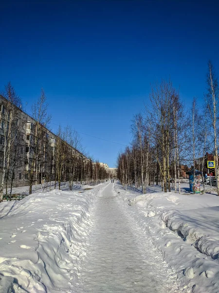 Noyabrsk Yamalo Nenets Autonomiczny Okrug Marca 2020 Piękna Zimowa Ścieżka — Zdjęcie stockowe