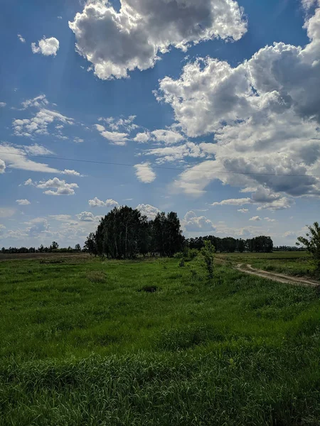 Green Meadow Blue Sky Clouds Kamen Obi Altai Russia — Stock Photo, Image