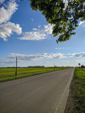 Rus taşrası, giden yol manzarası, mavi gökyüzü ve Kamen-na-Obi 'deki yeşil çayırlar, Altai, Rusya.