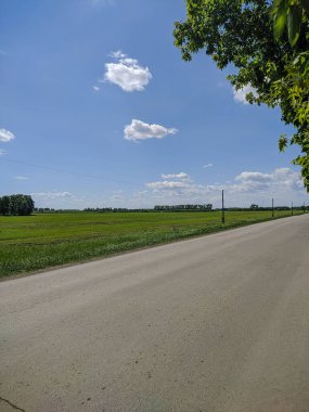 Rus taşrası, giden yol manzarası, mavi gökyüzü ve Kamen-na-Obi 'deki yeşil çayırlar, Altai, Rusya.
