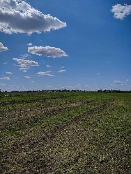 Outback Ruso Vista Del Cielo Azul Prados Verdes Kamen Obi —  Fotos de Stock