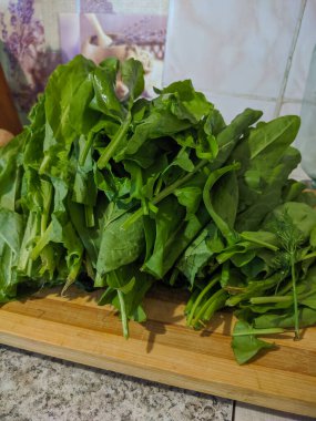 Kamen-na-Obi, Altai, Rusya - 23 Mayıs 2020: Tahta üzerinde yeşil kuş yaprakları yatar.