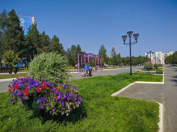 러시아의 2020 공원의 플라스틱 단지에 페튜니아 페튜니아 하이브리드 공원에 페튜니아 — 스톡 사진