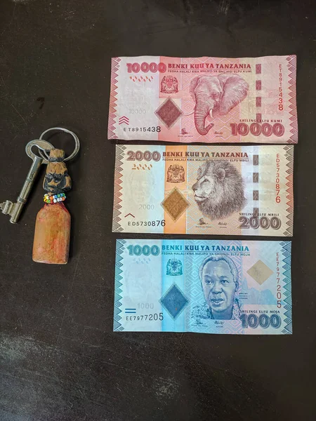 Zanzibar, Tanzanya - 4 Aralık 2019: Masada Tanzanya şilini (1000, 2000, 10000) bulunmaktadır. Siyasetçileri ve çeşitli Afrika hayvanlarını tasvir eden çok renkli banknotlar. Dikey.