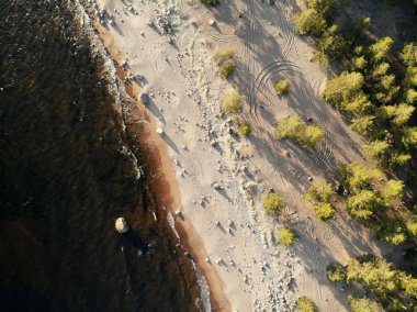Çam ormanı yakınlarındaki kumlu sahile ve okyanus denizindeki dalgalara kadar hava manzarası.