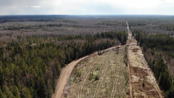 Letecký pohled odlesňování strom řezání jarní nebo podzimní šedý les. Ekologie. — Stock video