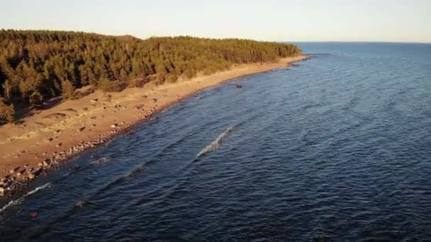 Costa del Mar Baltico. Il Golfo di Finlandia. Litorale sabbioso con pietre e pineta — Video Stock