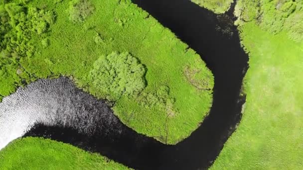 Vuelo sobre el oscuro río sinuoso con curva a su vez en el campo verde en verano . — Vídeos de Stock