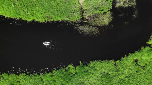 Flygfoto vit roddbåt i den mörka floden med gröna kuster — Stockvideo