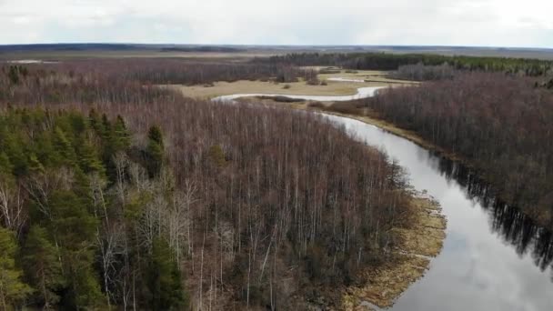 Kronkelende rivier in het najaar of voorjaar bos. Met velden en moeras. — Stockvideo