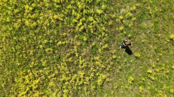 Giovane donna ragazza andando in vestiti neri nel campo pieno di giallo dall'alto verso il basso — Video Stock