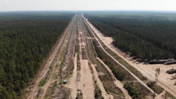 Aerial view oil pipeline in the forest. Wide felling made in the woods forest — Stock Video