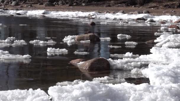 Bitar av is gungande yta nära sandstrand kust med stenar lugnt vatten. — Stockvideo