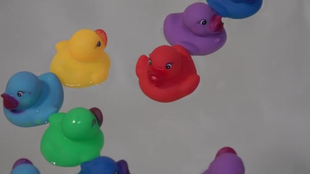 Vue rapprochée du canard en caoutchouc plastique dans la salle de bain avec de l'eau claire — Video