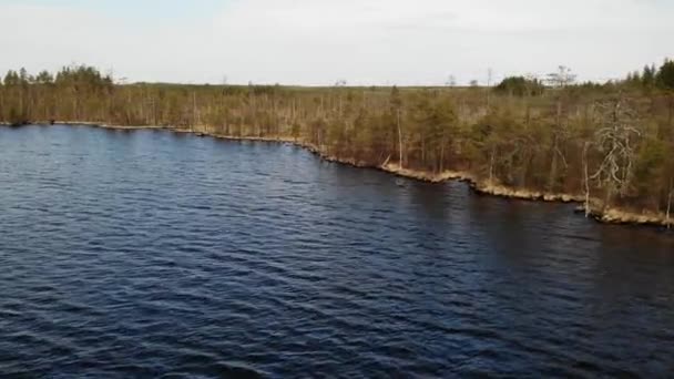 Lac forestier avec eau claire et fond sablonneux. Novgorodskaïa, Russie, Vileya