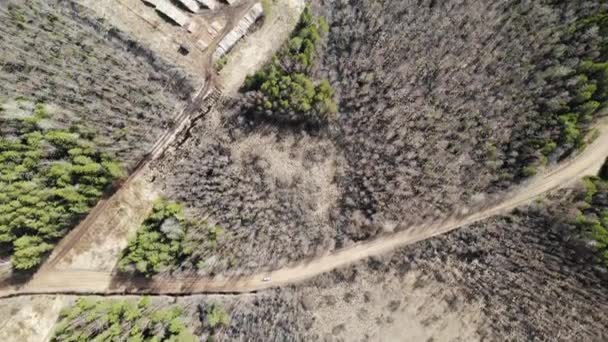 Vista aerea albero deforestazione taglio primavera o autunno foresta grigia. Ecologia. — Video Stock