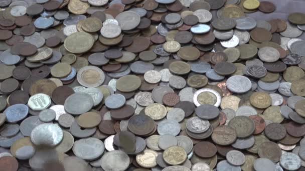 En hel del olika mynt i olika länder faller ner högen — Stockvideo