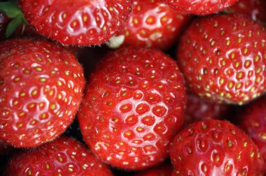 Yakın çekim makrosu. Güneşli bir günde kırmızı çileği tohumlarla kapla.