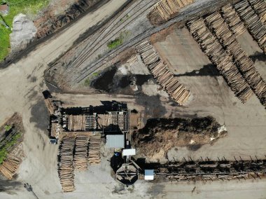 Havadan aşağıya doğru ahşap fabrikası. Hat ağaçlarını birleştirin. Tahta talaş yığını