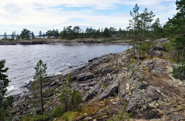 Ladoga Lake Bay Skerry v ruské Karelii. kamenné ostrovy s borovicemi Letní — Stock fotografie
