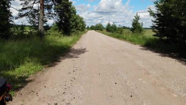 Rússia, Carélia agosto 2020: Velho russo motocicleta amarela motos árvores — Vídeo de Stock