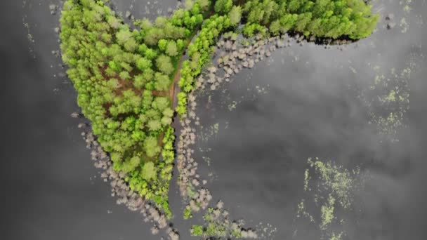 Vue aérienne de haut en bas de l'île dans la rivière du lac comme le logo HYUNDAI. Forêt verte — Video