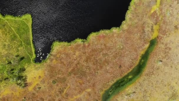 Lago em cobre vermelho colorido pântano vista aérea. Ecologia é um bom lugar. Verão nublado — Vídeo de Stock