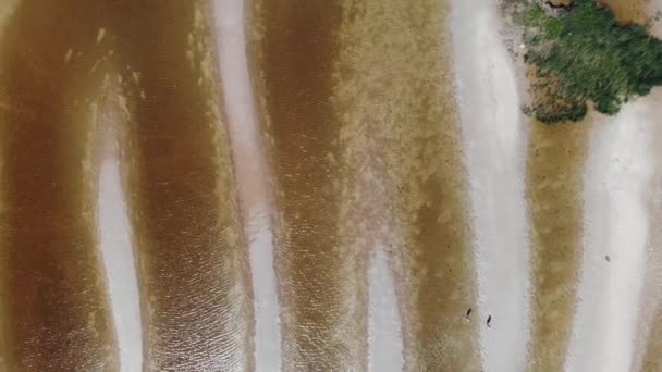 Vue aérienne de haut en bas du banc de sable à marée basse à Saint-Pétersbourg. Kanonerski île. — Video