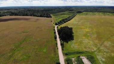 İki çakıl yolu kavşağı. Yaz tarlasında çalılar. Hava görüntüsü kırsal