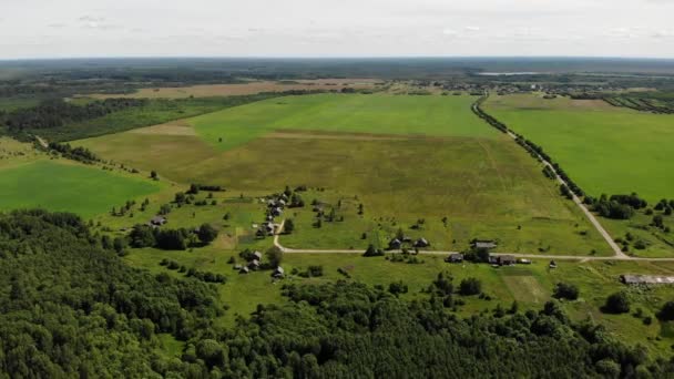 Klein houten dorpje met groot groen veld, boswegen. Novgorod. Luchtzicht. — Stockvideo