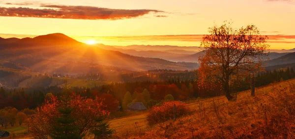 Sunrise in autumn highland.