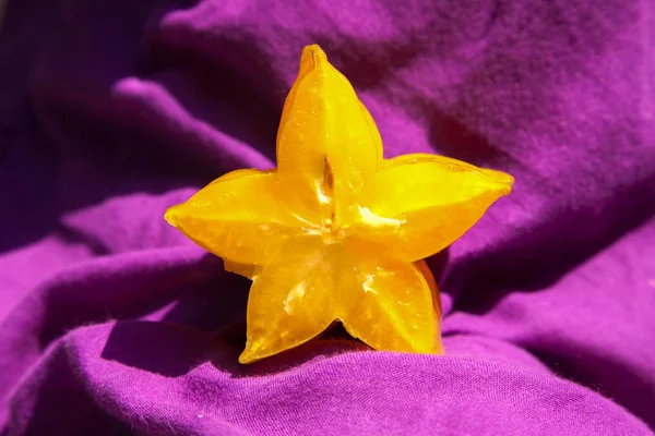 Slice of a star fruit on a violet background