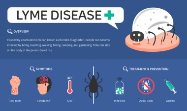 Lyme hastalığının, kenelerin, tedavinin ve önlenmesinin bilgisel çizimi. Düz tasarım