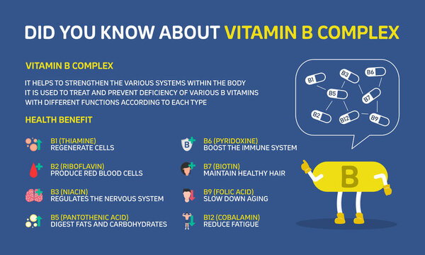 Infographic illustration about Did you know about Vitamin B complex, Health care. Flat design
