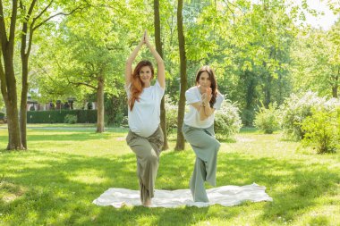 İki kadın parkta birlikte Yoga uygulamak