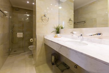 Banyo içi duş kabini olan bir otel.