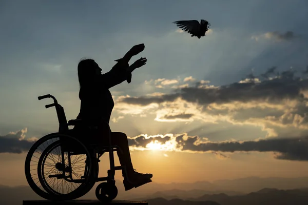 Handicapés Pigeons Nouvelle Vie — Photo