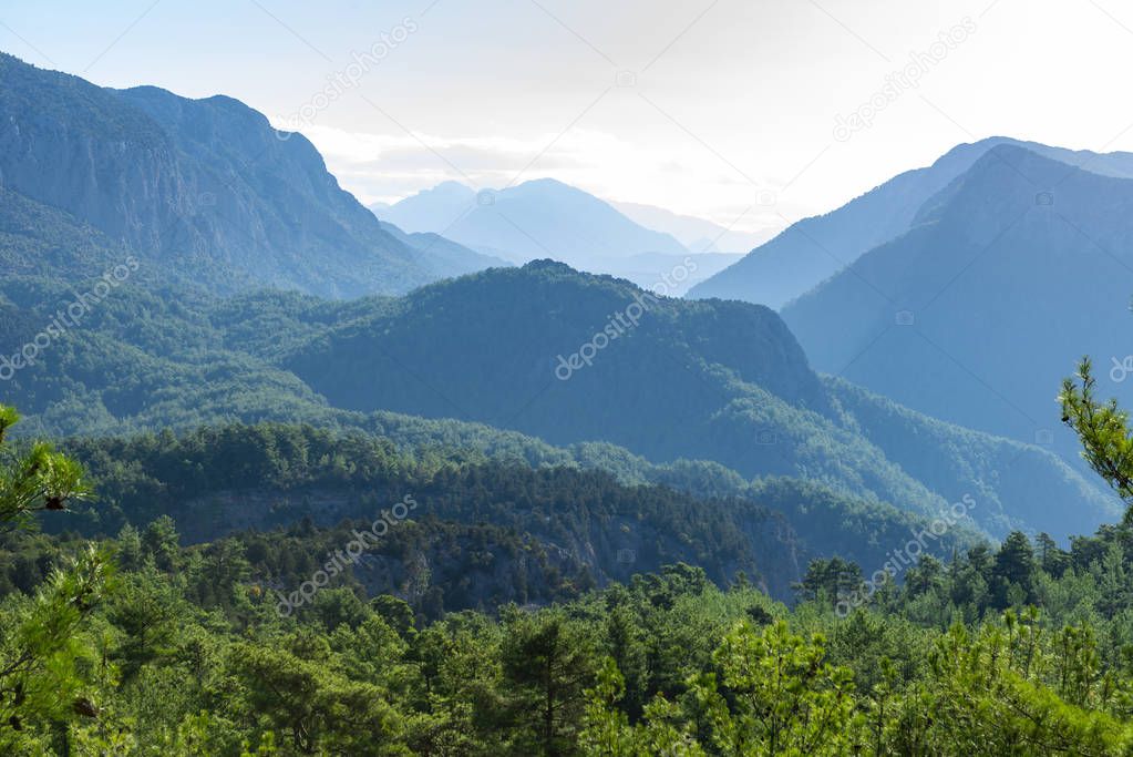 wild nature landscape, frequent woodland and mountain range