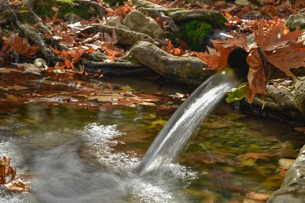 Gesundes Trinkwasser aus natürlicher Quelle — Stockfoto