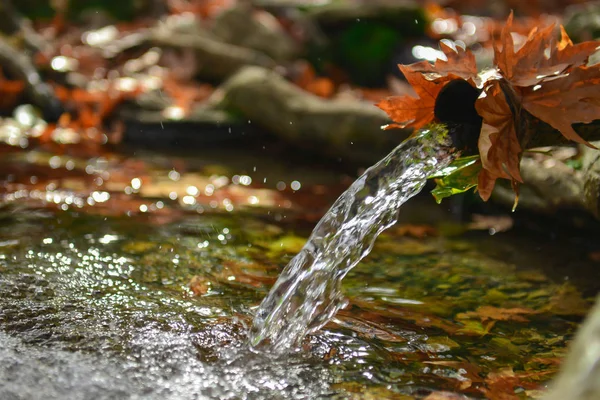 Agua potable saludable de origen natural — Foto de Stock