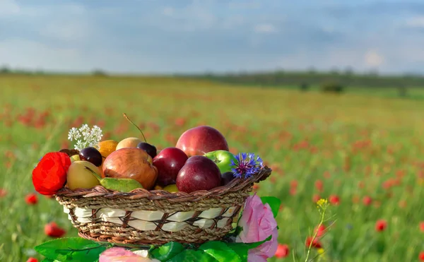 fruit basket among flowers in nature