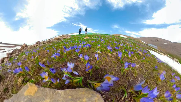 Flores azules, explorar y hacer senderismo aventuras del clima — Foto de Stock