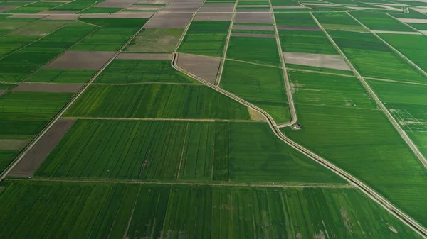 Mezőgazdasági földterületek, vidékfejlesztési tanulmányok — Stock Fotó